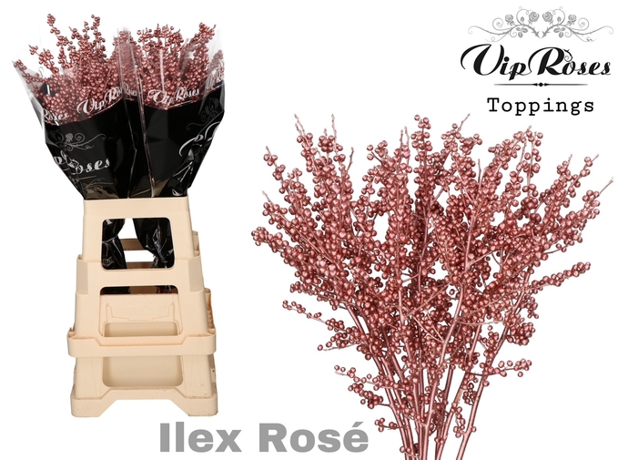 Ilex rosa metallic rose' gefarbt 80cm
