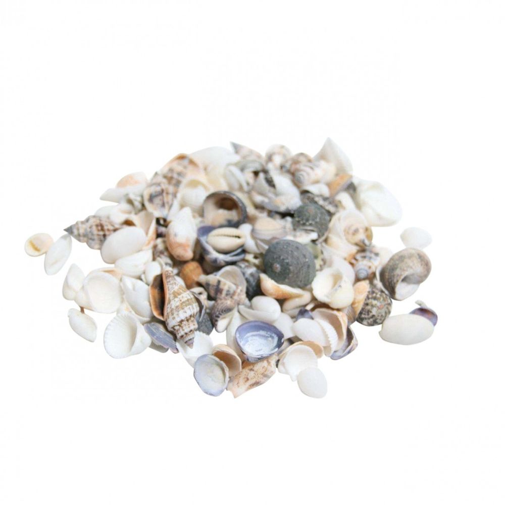 Muscheln mix natur/gelb 2kg