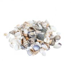 Muscheln mix natur/gelb 2kg