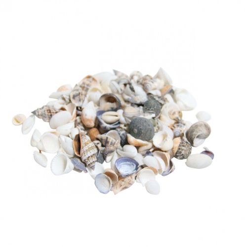 Muscheln mix natur/gelb 2kg