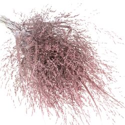 Ziergras rosa gefärbt 80cm