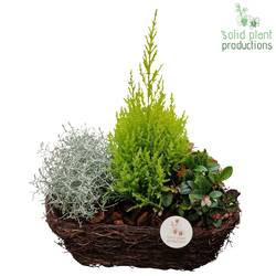 Garten.Arr SOMC002 Herbst T34 H045