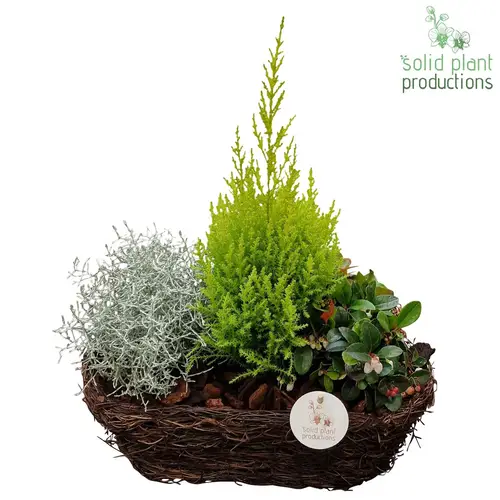 Garten.Arr SOMC002 Herbst T34 H045