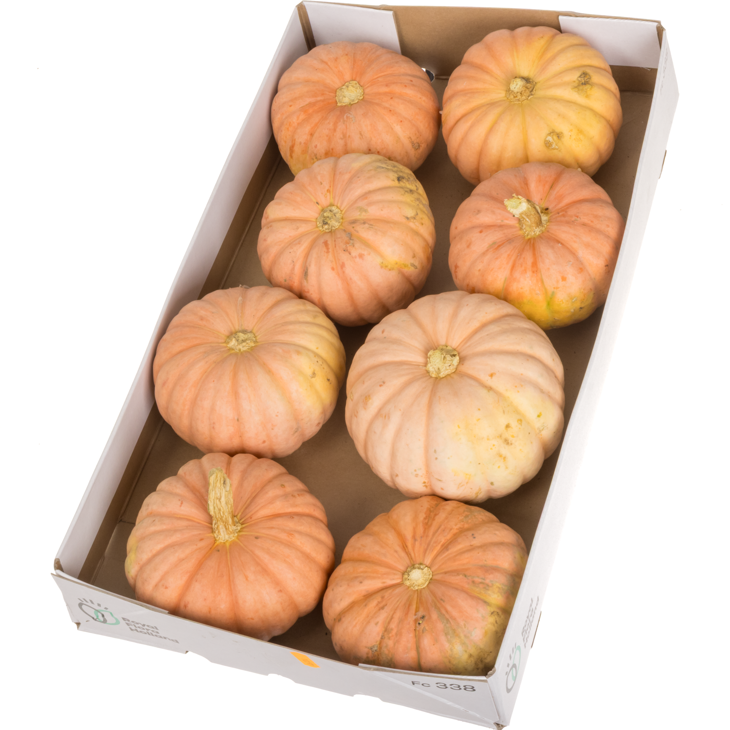Zierkürbis orange Miss Sophie 14cm