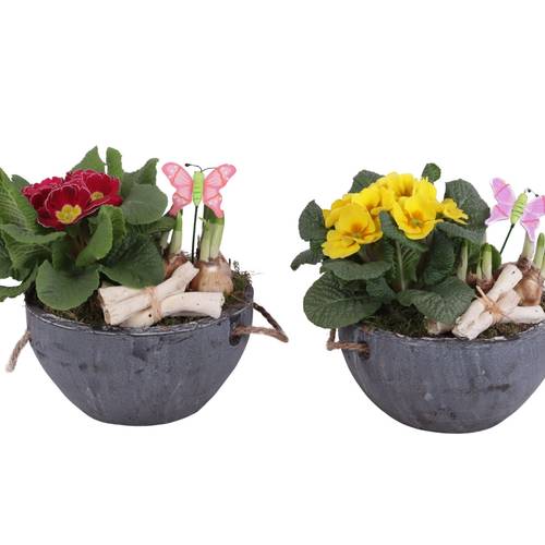 Garten.Arr mix ES620T0180 T20 H025