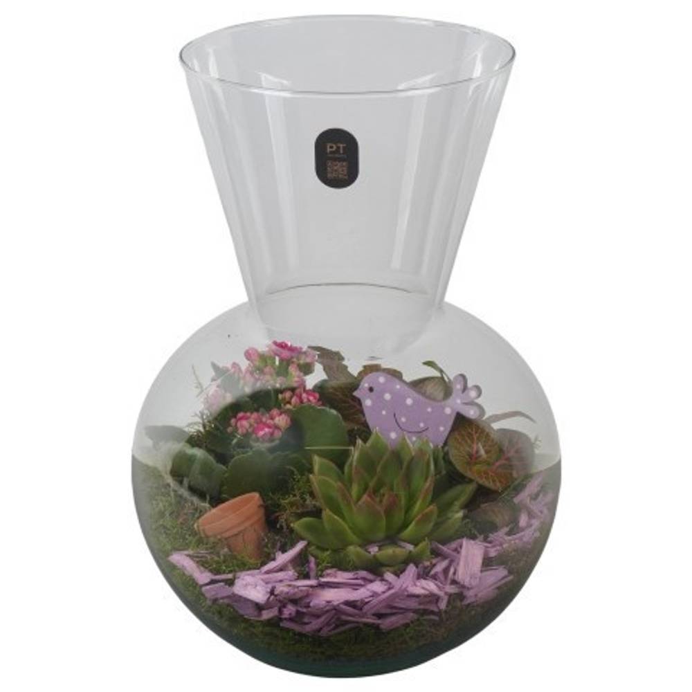 Kal.Arr PTIG2630 T21 H030