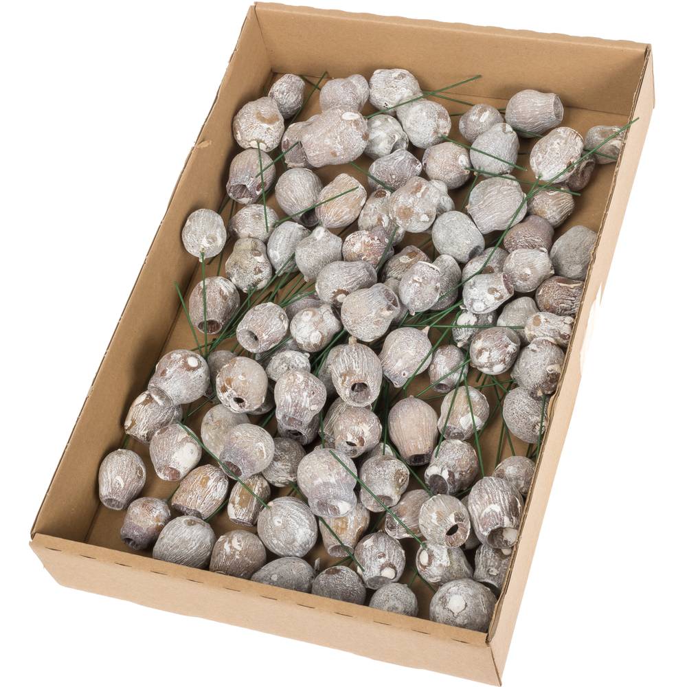 Bellgum/draht weiss 100st