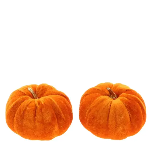 Kürbis Velvet orange D10cm x2 