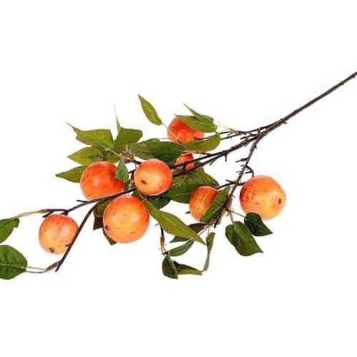 Seiden Apfel Granny orange L95cm