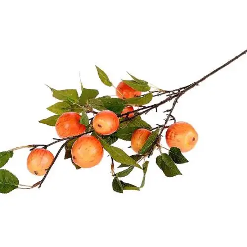 Seiden Apfel Granny orange L95cm