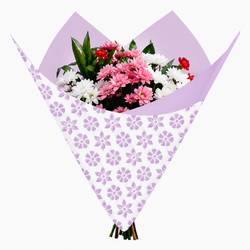 Folie Blatt Clear lila 80x90cm x50 