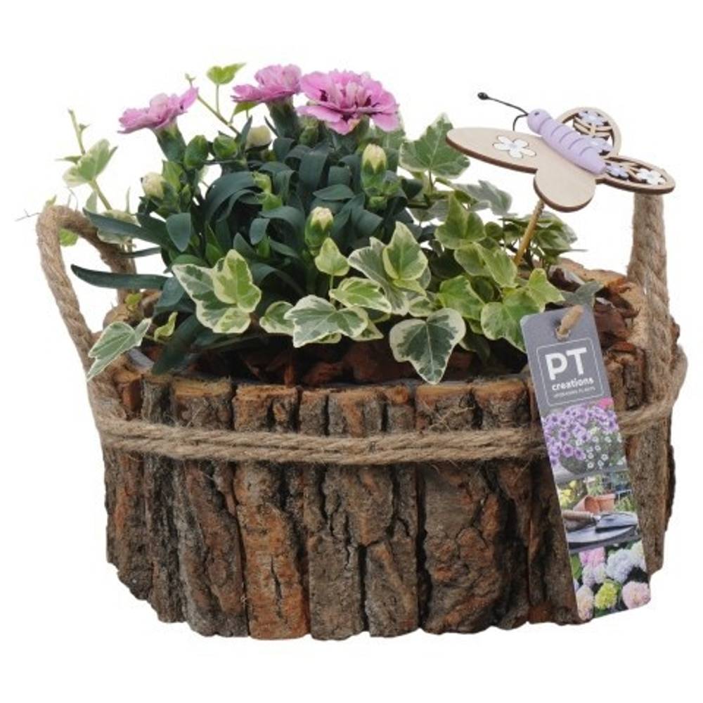 Garten.Arr PTPP6984 T21 H022