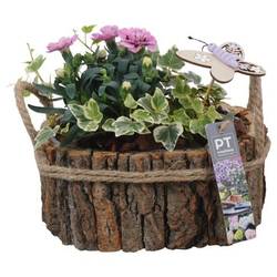 Garten.Arr PTPP6984 T21 H022