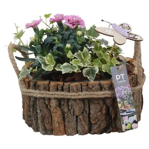 Garten.Arr PTPP6984 T21 H022