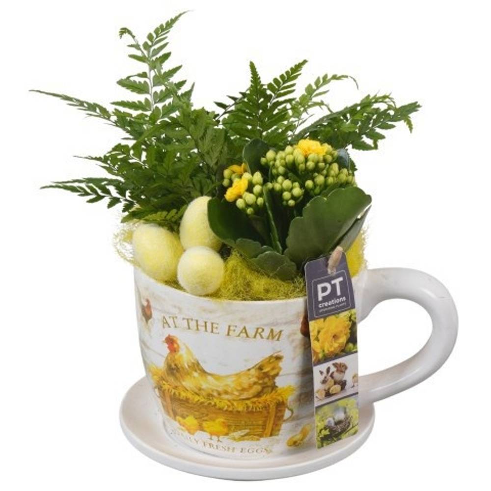 Kal.Arr PTPB6513 Ostern T14 H023