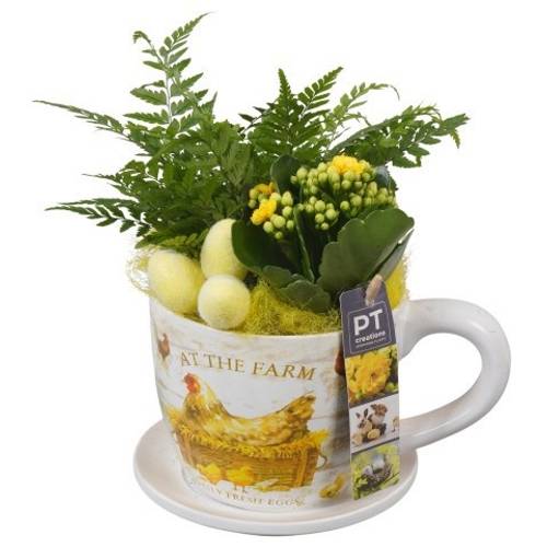 Kal.Arr PTPB6513 Ostern T14 H023