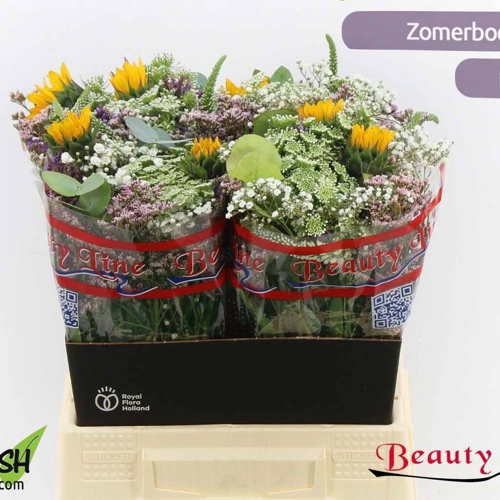 Strauss Limonium/Sunova 40cm