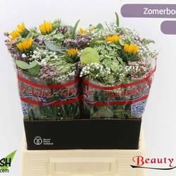 Strauss Limonium/Sunova 40cm