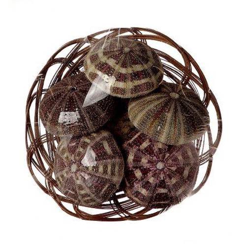 Muschel Korb Seeigel 6stk. D07.5cm