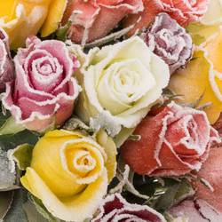 Rose mix Frost 50cm Weihnachten