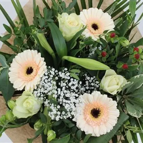 Strauß aprico Rosen Speciaal 50cm 21 Stiele