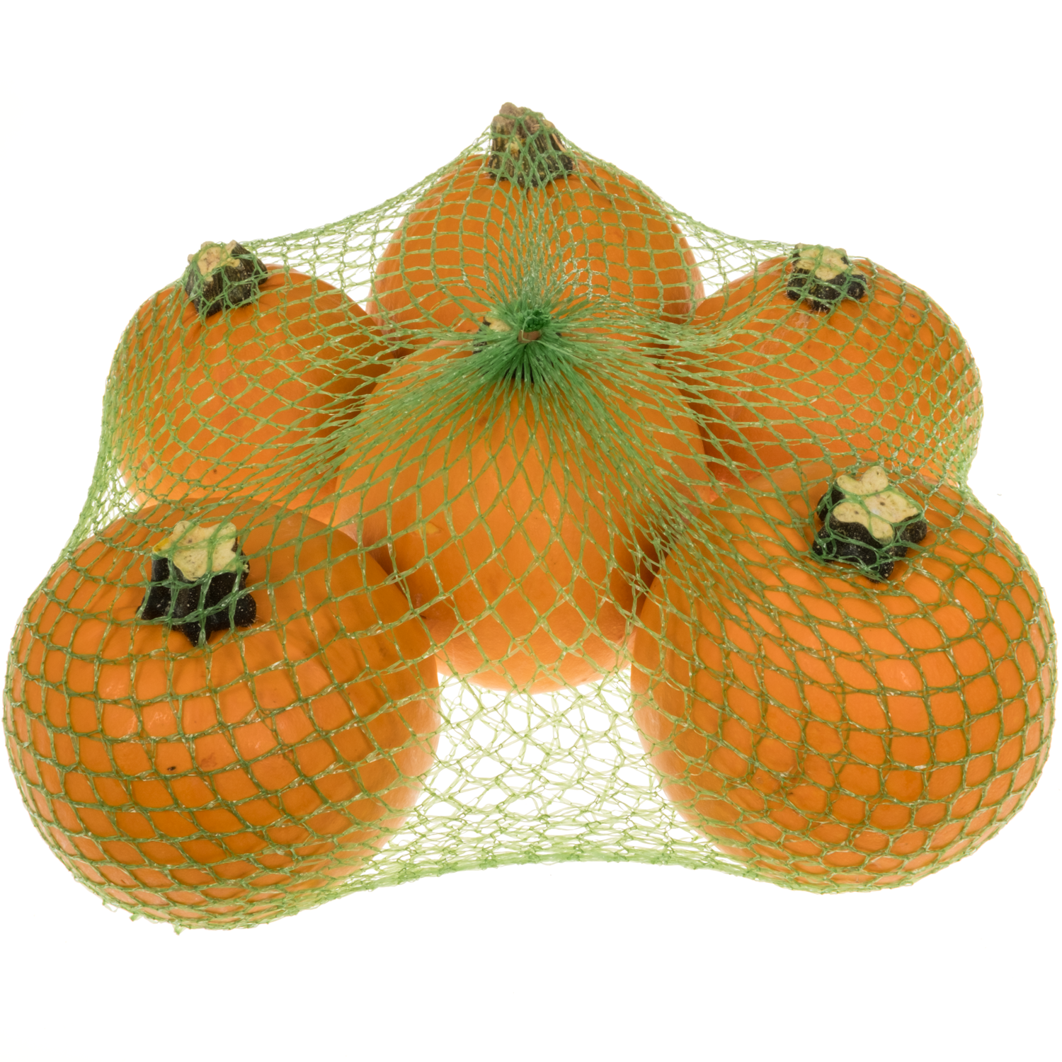 Zierkürbis orange Pinball Im Netz 9cm