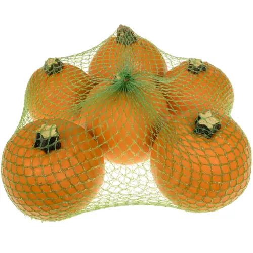 Zierkürbis orange Pinball Im Netz 9cm