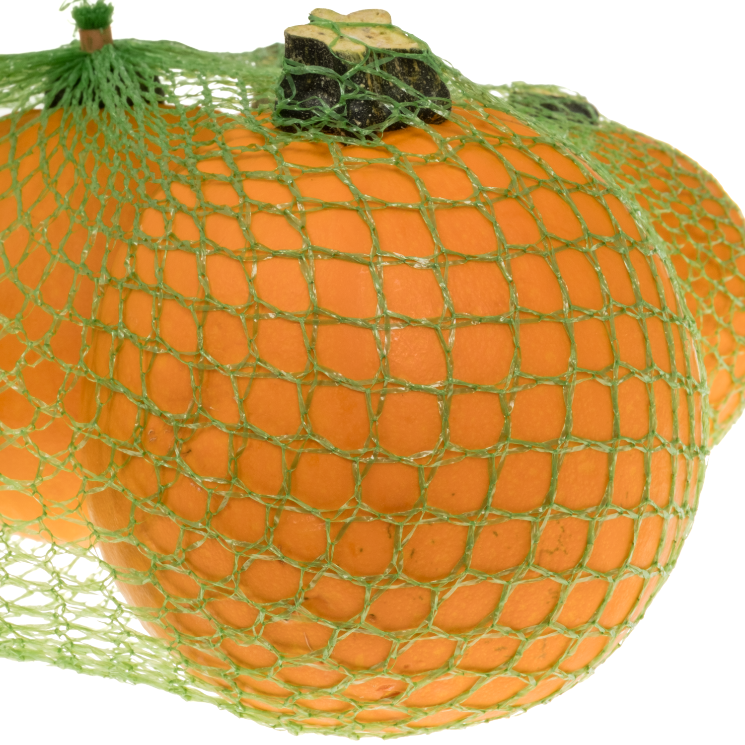 Zierkürbis orange Pinball Im Netz 9cm