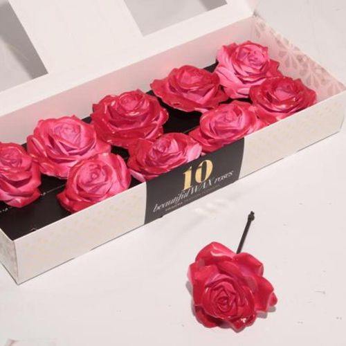 Seiden Wachs Rose rosa/rot D12cm (450) Blush