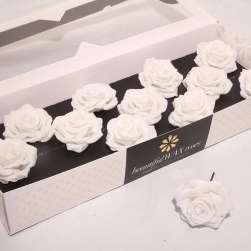 Seiden Wachs Rose weiss Diamond d10cm (767)