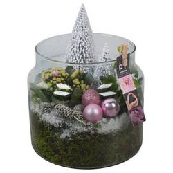 Kal.Arr PTCHP3538 Weihnachten T19 H025