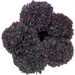 Hortensie turkis/lila Pimpernel Classic Bol 20cm 80cm