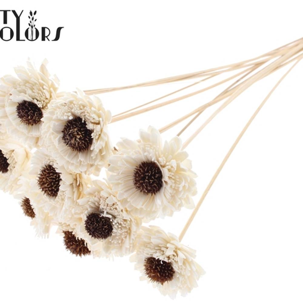 Trocken Shola Sonnenblume auf Stab L50cm D06cm