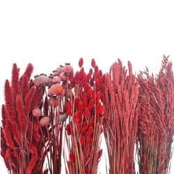 Trocken DIY Box assorti rot L65-70cm