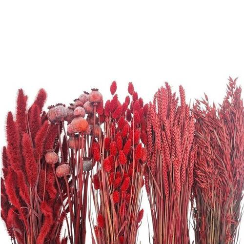Trocken DIY Box assorti rot L65-70cm