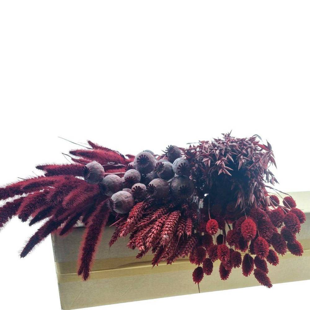 Trocken DIY Box assorti rot L65-70cm