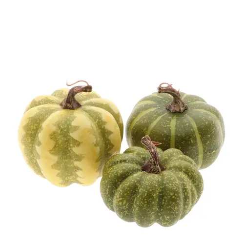 Kürbis mix grün D08cm x3