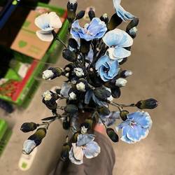 Mininelke blau Mistery gezogen 60cm