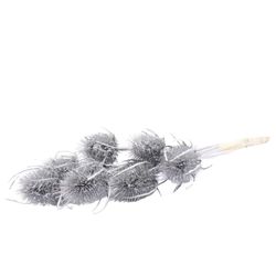 Trocken Cardi silber L50cm