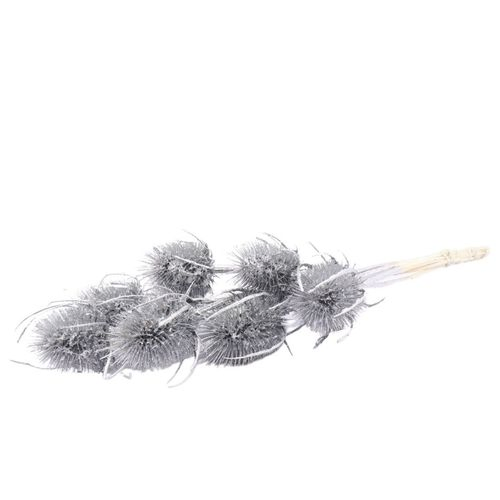 Trocken Cardi silber L50cm