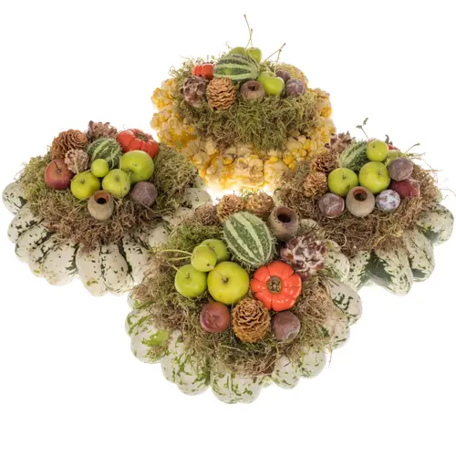 Zierkürbis mix Deko Patisson 18cm