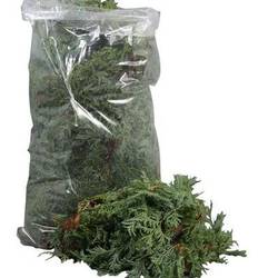 Cham. grün Squarrosa 1.8kg Beutel