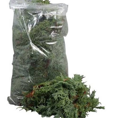 Cham. grün Squarrosa 1.8kg Beutel