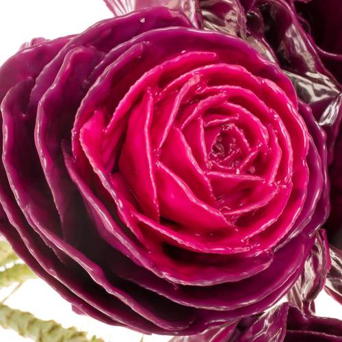Zierkohl cerise Wax 60cm