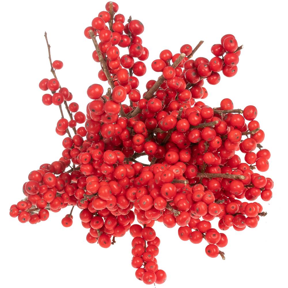 Ilex rot extra 30cm