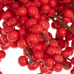 Ilex rot extra 30cm