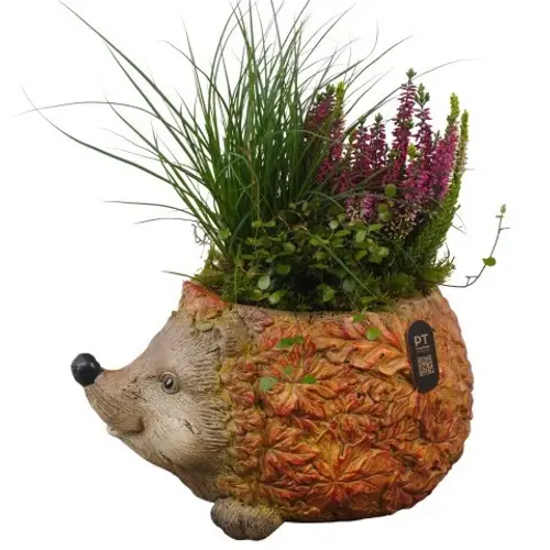 Garten.Arr PTHO7719 Herbst T31 H042
