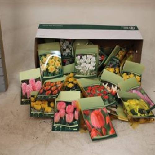 Zwiebel mix im Karton