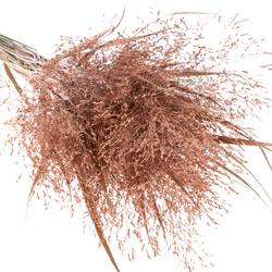 Ziergras brons gefärbt 80cm