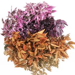 Steineiche mix Metal 200gram